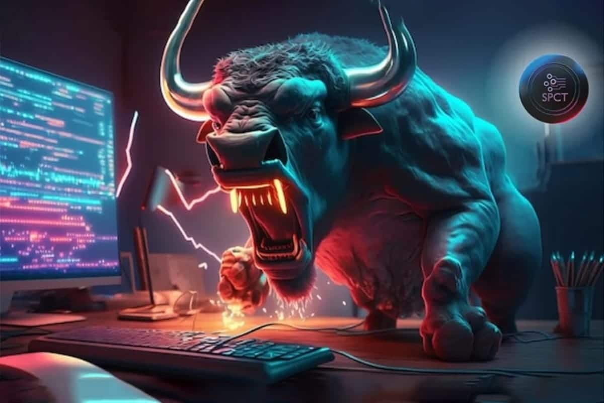 Bull vs. bear crypto market: What's the difference and how to