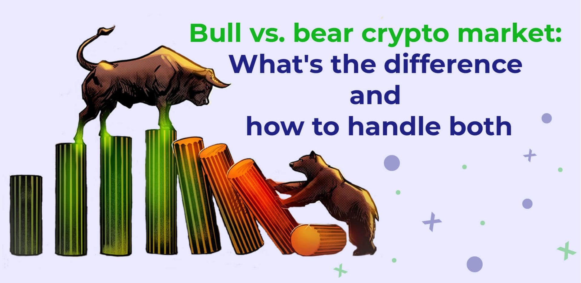 Bull Bear Crypto Comparison