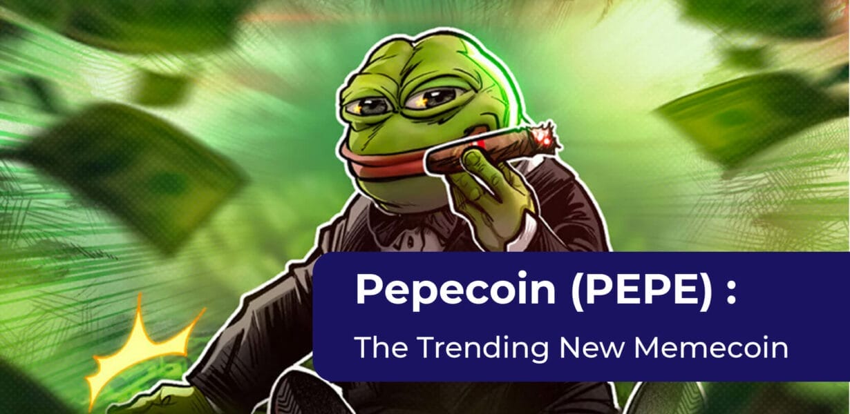 Pepecoin (PEPE) Overview