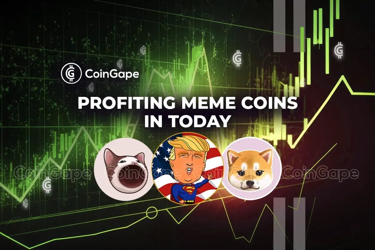 4 Most Profiting Meme Coins In Today