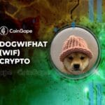 WIF Selloff Alert: Dogwifhat Tumbles On Multiple Factors