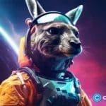 Dogecoin, Dogwifhat prices soaring; KangaMoon hype rises in the meme coin space
