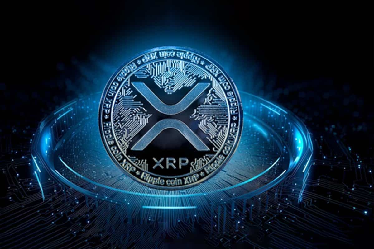 XRP Whale Moves 29M Coins Amid SEC's Opposition To Ripple's Motion