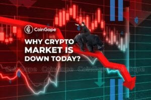 Top Reasons Why the Crypto Market Is Down